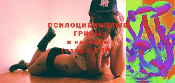 apvp Алексеевка