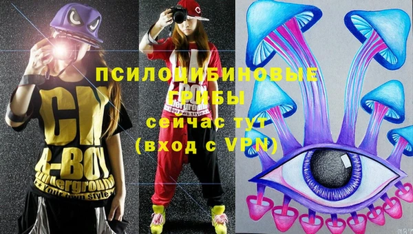 apvp Алексеевка
