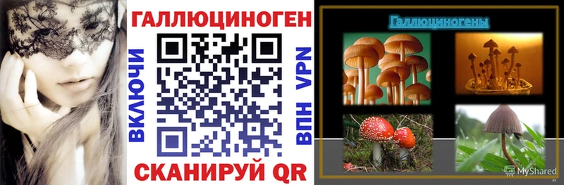 Галлюциногенные грибы Psilocybe  OMG ССЫЛКА  Макушино 